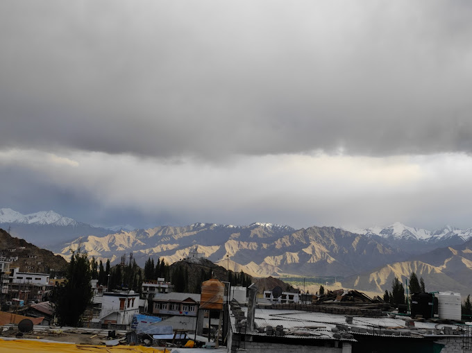 Bodhi Terrace : Leh, Ladakh