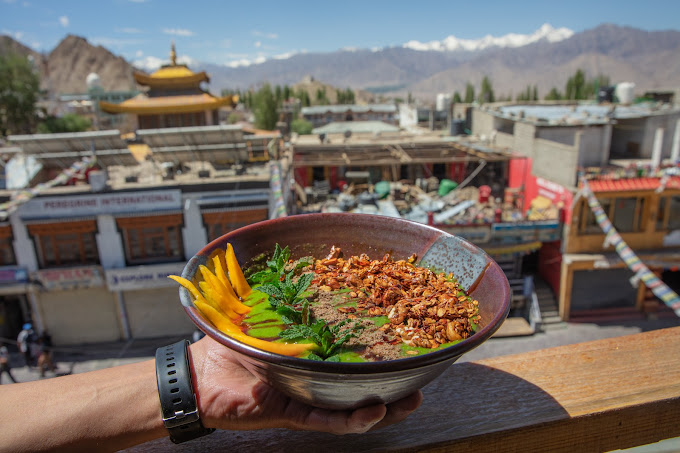 Bodhi Terrace : Leh, Ladakh